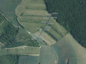 Prodej sadu/vinice, Boleradice, 3042 m2