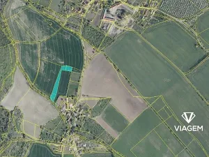 Prodej podílu pole, Třebenice, 1072 m2