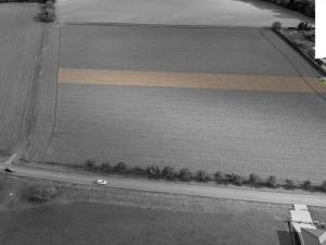 Prodej pozemku pro bydlení, Heřmanův Městec, 3671 m2