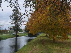 Prodej chaty, Litovel, Komárov, 61 m2