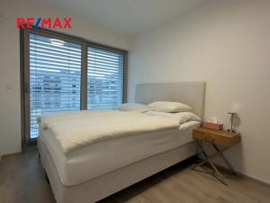 Pronájem bytu 2+kk, Praha - Žižkov, Malešická, 53 m2