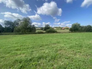 Dražba louky, Čížkov, 1885 m2