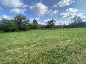 Dražba louky, Čížkov, 1885 m2