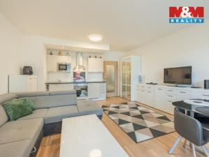 Prodej bytu 1+kk, Praha - Karlín, Nekvasilova, 38 m2