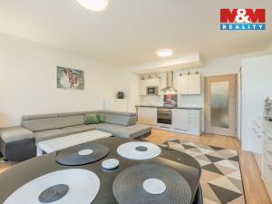 Prodej bytu 1+kk, Praha - Karlín, Nekvasilova, 38 m2