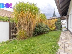 Prodej rodinného domu, Oleška, 203 m2