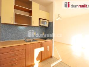 Pronájem bytu 1+kk, Karlovy Vary - Stará Role, Nejdlova, 38 m2