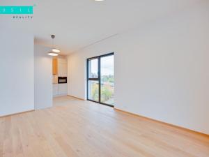 Pronájem bytu 2+kk, Olomouc, Ostrovní, 53 m2