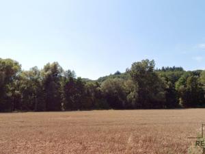 Prodej louky, Traplice, 4459 m2