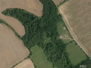 Prodej louky, Traplice, 4459 m2