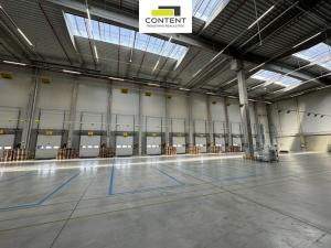 Pronájem výrobních prostor, Hladké Životice, Kujavská, 9000 m2