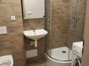 Pronájem bytu 1+kk, Janovice nad Úhlavou, Rozvojová zóna, 22 m2