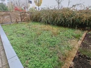 Pronájem bytu 2+kk, Olomouc, Rokycanova, 59 m2