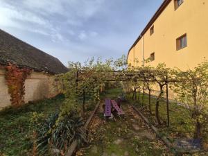 Prodej rodinného domu, Horní Věstonice, Lípová, 135 m2