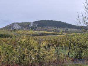 Prodej rodinného domu, Horní Věstonice, Lípová, 135 m2