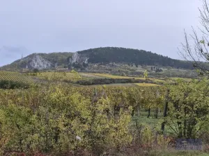 Prodej rodinného domu, Horní Věstonice, Lípová, 135 m2