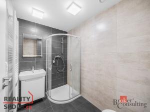 Prodej bytu 1+kk, Třemošná, 31 m2