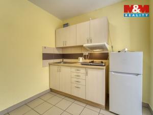 Pronájem bytu 1+1, Sytno, 49 m2