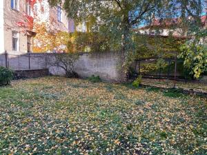 Pronájem bytu 1+1, Znojmo, Havlíčkova, 55 m2