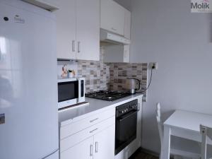 Prodej bytu 2+1, Teplice - Trnovany, Masarykova třída, 49 m2