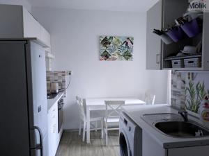 Prodej bytu 2+1, Teplice - Trnovany, Masarykova třída, 49 m2