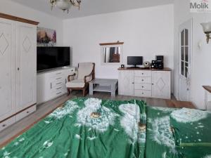 Prodej bytu 2+1, Teplice - Trnovany, Masarykova třída, 49 m2