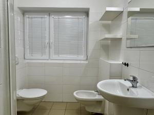 Pronájem kanceláře, Břeclav, třída 1. máje, 240 m2