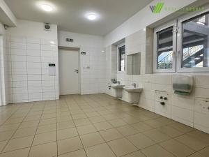 Pronájem kanceláře, Břeclav, třída 1. máje, 240 m2