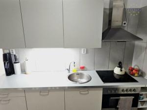 Prodej bytu 1+1, Kralupy nad Vltavou, sídl. Hůrka, 43 m2