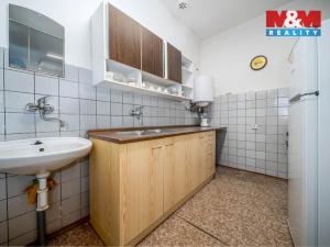 Prodej rodinného domu, Oskořínek, Družstevní, 850 m2