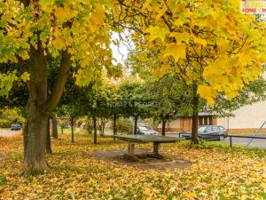 Prodej bytu 3+1, Brandýs nad Labem-Stará Boleslav - Brandýs nad Labem, Brázdimská, 86 m2