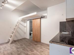 Prodej ubytování, Praha, Husitská, 80 m2