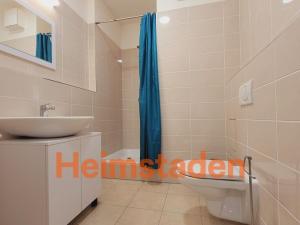 Pronájem bytu 1+kk, Plzeň - Jižní Předměstí, Magisterská, 28 m2