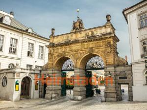 Pronájem bytu 1+kk, Plzeň - Jižní Předměstí, Magisterská, 27 m2