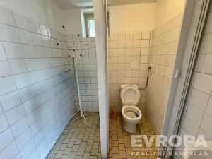 Pronájem restaurace, Plzeň - Doudlevce, Srázná, 90 m2