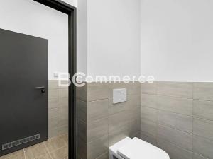 Pronájem skladu, Brno, Vinohradská, 446 m2