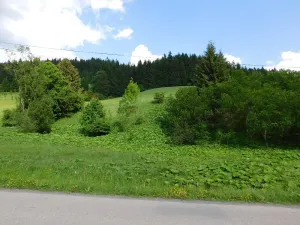 Dražba louky, Velké Karlovice, 14772 m2