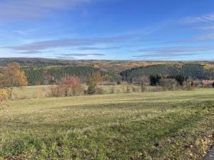 Prodej rodinného domu, Pavlíkov - Ryšín, 436 m2