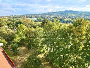 Prodej bytu 1+1, Starý Plzenec, Herejkova, 38 m2