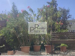 Pronájem bytu 2+1, Znojmo, 60 m2