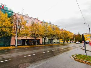 Pronájem bytu 2+kk, Olomouc - Nová Ulice, Wolkerova, 45 m2