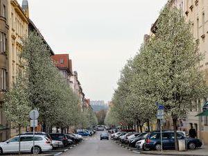 Pronájem výrobních prostor, Praha - Bubeneč, Eliášova, 33 m2