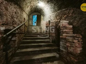 Prodej historického objektu, Mikulov, Na Jámě, 361 m2