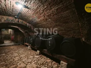 Prodej historického objektu, Mikulov, Na Jámě, 361 m2