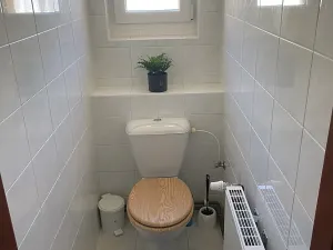 Prodej ubytování, Albrechtice v Jizerských horách, 110 m2