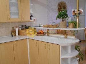 Prodej bytu 3+1, Opočno, Podzámčí, 88 m2