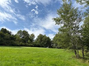 Prodej rodinného domu, Bujanov, 480 m2