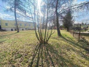 Dražba pozemku pro bydlení, Rokytnice v Orlických horách, 1012 m2