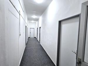 Pronájem kanceláře, České Budějovice, Mánesova, 143 m2