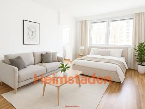 Pronájem bytu 1+kk, Karviná - Hranice, Slovenská, 30 m2